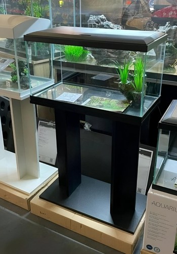 Nuovo acquario vasca - **,