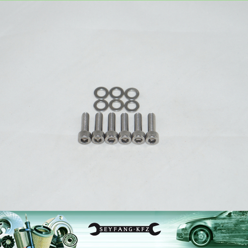 Viti coprimotore acciaio inox
