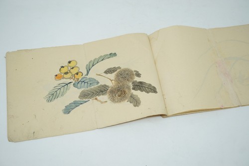 Libro vintage giapponese con