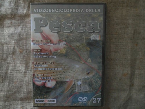 Videoenciclopedia della - -videoenciclopedia,