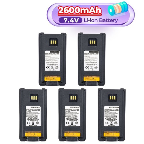 Batteria 5pz bl2503 - batteria,