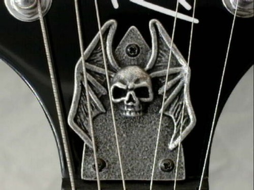 Skull truss rod - skull, cover