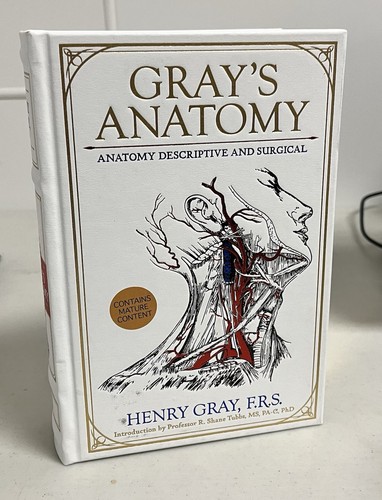 Gray anatomy - anatomy:,