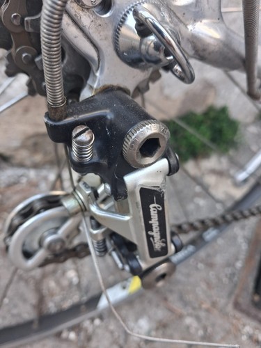 Cambio guarnitura campagnolo - guarnitura,