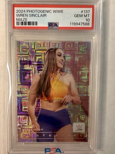 2024 panini photogenic wwe - panini,