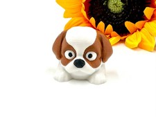 Shih Tzu, Flexi, Animale, Cane