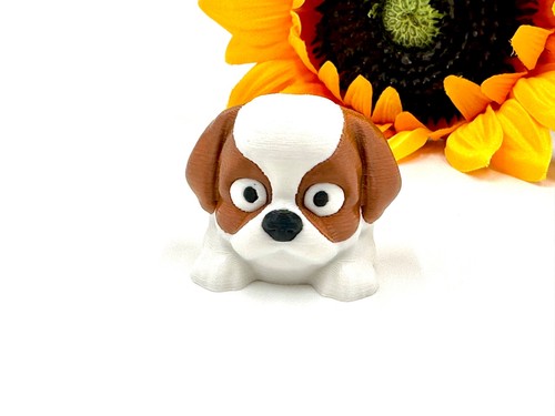 Shih tzu flexi animale cane - flexi,,
