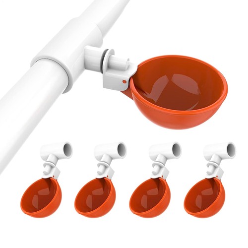 5pcs tazza acqua pollo - tazza,