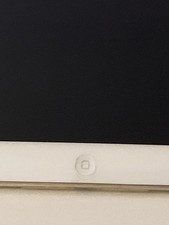 Apple iPad mini 16GB Tablet