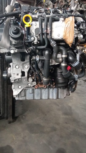 Motore volkswagen golf - volkswagen, 1,6