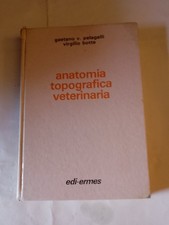 Anatomia Topografica