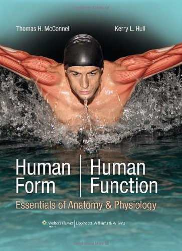 Human form - human, function