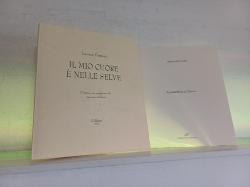 Ferriani mio cuore è - ferriani,,