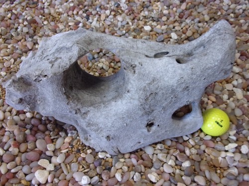 Texas holey rock - texas/tn,