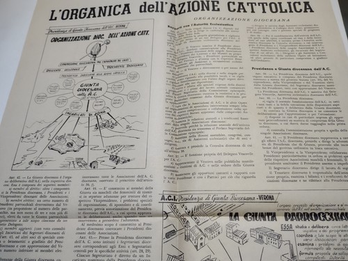 Azione cattolica organica - azione, l'organica