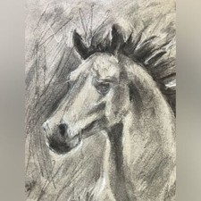 Quadro originale colt - quadro, cavallo