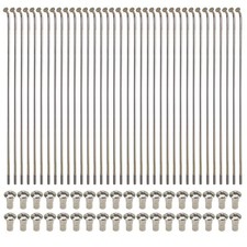 SET RAGGI POSTERIORI 18"x 36