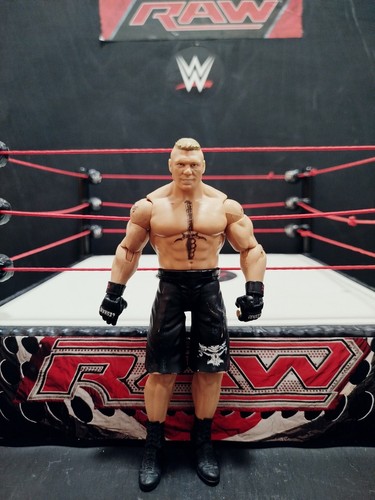 Brock lesnar basic series - brock,