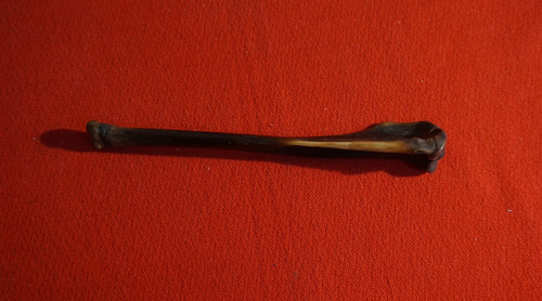 Bocchino antico per sigari