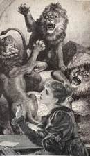 ORIGINALE ARTE antico vittoriano leone tigre gotico tatuaggio tassidermia sport tennis inchiostro