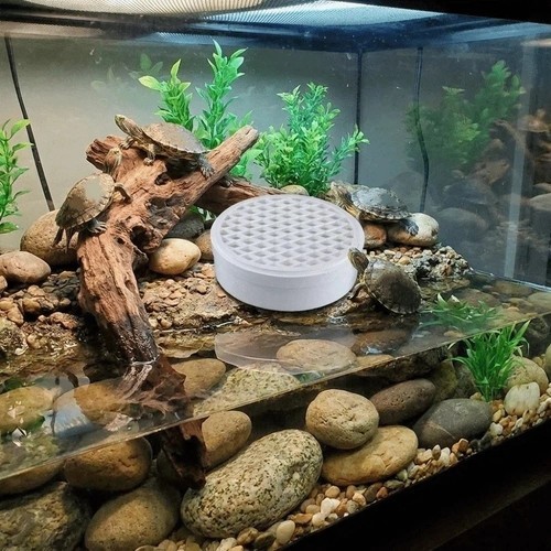 Piattaforma basking serbatoio