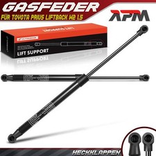 2 molle a gas ammortizzatori