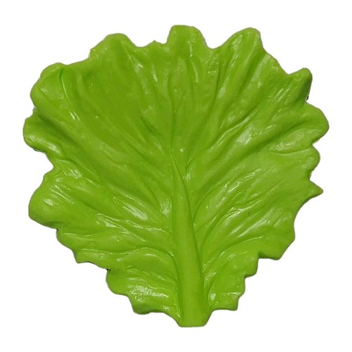 Learning resources lettuce - learning,