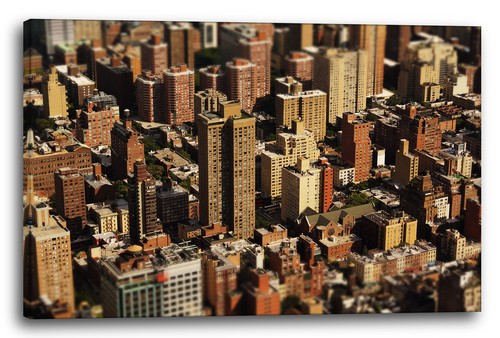 Tela cornice new york brooklyn - tela/cornice,