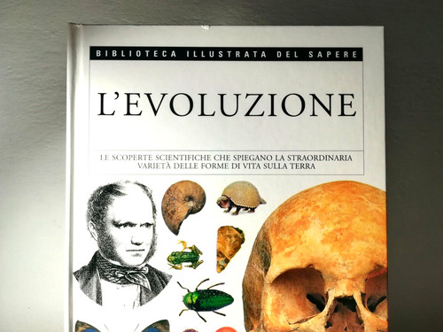 Enciclopedia evoluzione - enciclopedia, l'evoluzione