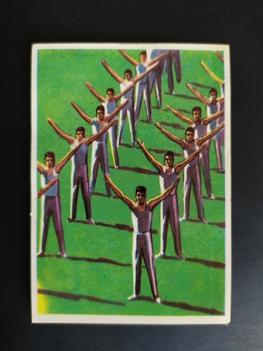 Figurina enciclopedia sportiva - enciclopedia,