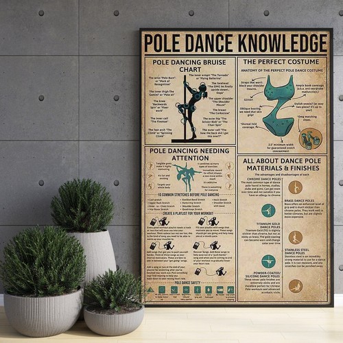 Poster conoscenza pole dance - conoscenza,
