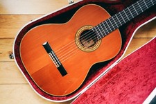 Chitarra classica takamine - chitarra,