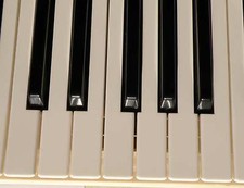 Casio FZ-1 tasto tastiera