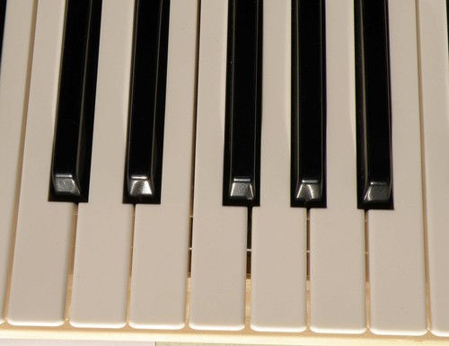 Casio tasto tastiera - casio,