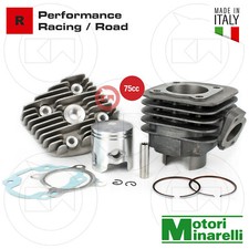 Gruppo termico 75cc - gruppo,
