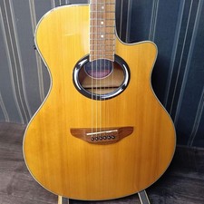 Chitarra acustica elettrica