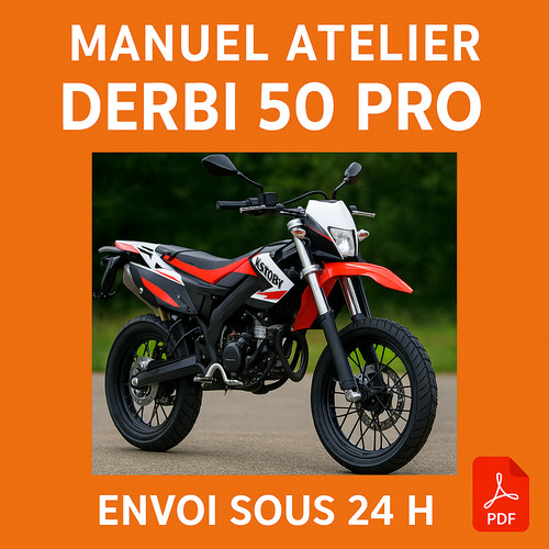 Manuel atelier derbi - manuel,