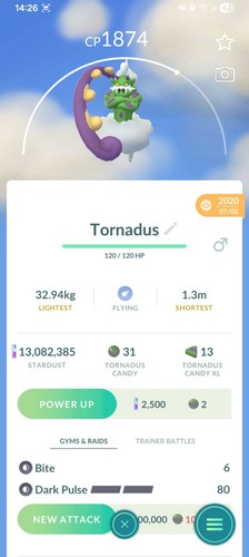 Tornadus pokemon fortunato - pokemon,