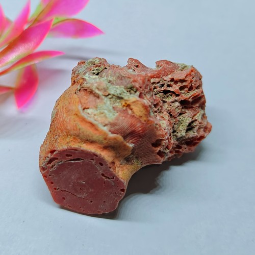Ramo corallo rosso - di,