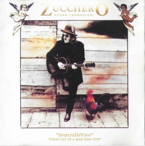 Zucchero sugar fornaciari - zucchero,