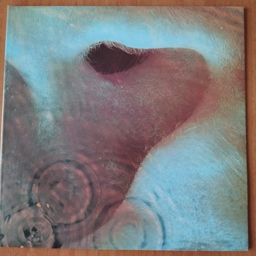Vinile vinyl meddle pink - /vinyl,