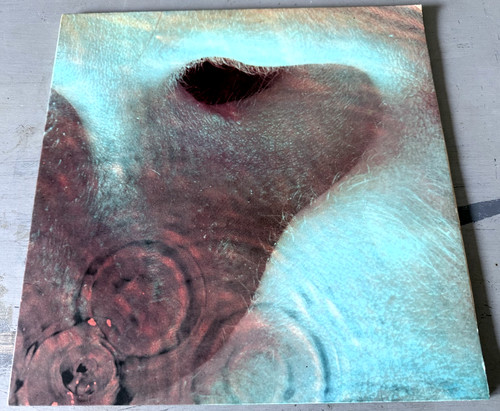 Meddle pink floyd - -,