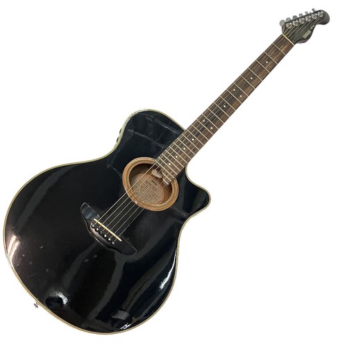 Chitarra acustica elettrica