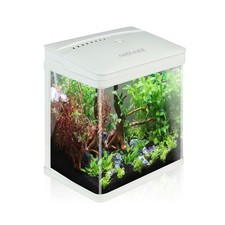 Nano Acquario in Vetro e