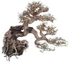 LEGNO ORIENTAL WIND 7 MD