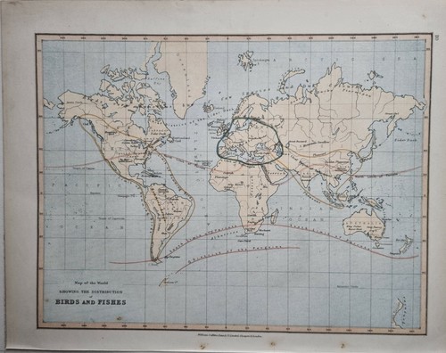 1878 mappa antica - 1878,