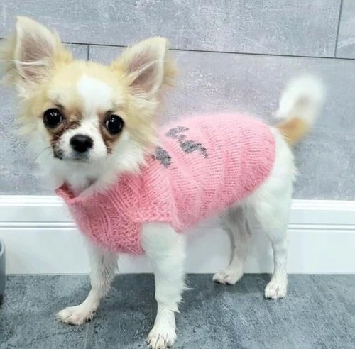 Cappottino per cani - cappottino,