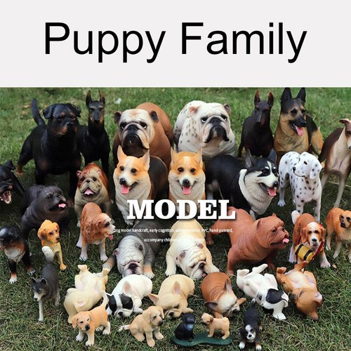 Modellino cani simulazione