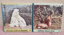 Animali dello zoo Piccoli con la mamma MiniZoo 1982 Aemmezeta libro bambini AMZ