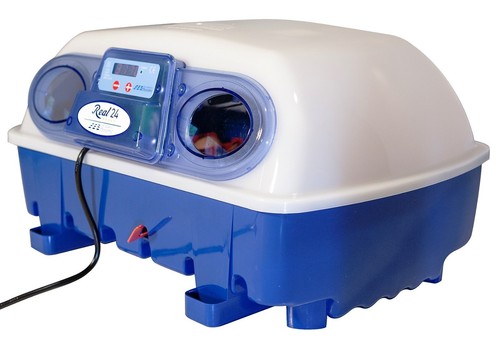Incubatrice semiautomatica - incubatrice,
